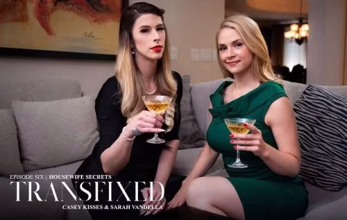 Housewife Secrets [Transfixed] Casey Kisses
